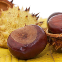 Vitamines à base de plantes italiennes pour stimuler l'immunité, anti-âge, compléments alimentaires en capsules pour adultes, prévention de la perte d'eau cutanée, 20 gélules molles