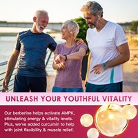 Capsules de berbérine HCl personnalisées de 1200 mg avec cannelle de Ceylan, supplément de berbérine au chrome soutient la santé gastro-intestinale et cardiaque