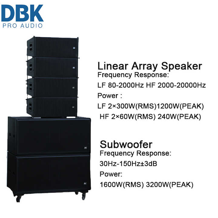 Professional Line Array PA System - Dual 10 Inch Speakers