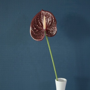 LUYI Nuevas Plantas Artificiales de Látex con Tacto Real, Ramas Individuales de Anturio, Flores al por Mayor para Decoración de Bodas y Hogar - Product Image 4