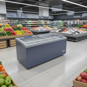 Réfrigérateur commercial pour viande et produits alimentaires, type îlot, avec portes coulissantes vitrées, pour supermarché - Product Image 1