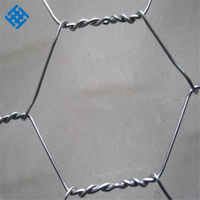 Grillage hexagonal galvanisé à chaud en gros, 1 pouce, 1-1/2 pouce, 2 pouces, BWG19, BWG18, 0,55 mm, 0,7 mm, pour grillage à poules, pliage et découpe