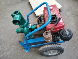 Large Flow Mobile Irrigation Pump 8HP Single Cylinder Engine for Aquaculture Water Exchange and Field Transfer 8 Large Flow M - Product Image 2