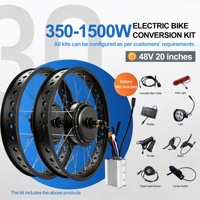 Kit de conversion de vélo électrique à pneus larges 250W-3000W 26*4.0 24*4.0 20*4.0 Kit de vélo électrique à double transmission pour vélo de neige et de plage