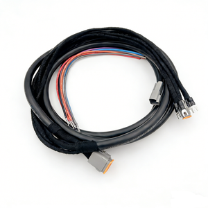 Кабель-удлинитель на заказ с 6-контактным разъемом для двигателя, автомобильный жгут проводов для управления автомобилем - Product Image 2