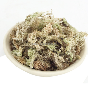 Заводская распродажа, низкая цена, сушеный Сфагновый Мох для горшечных цветов и культивирования суккулентов - Product Image 2