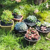 Mini pots de fleurs en résine pour succulentes, design minimaliste à base d'eau, pour usage au sol dans les centres commerciaux, jardinières durables pour cactus et bonsaïs