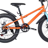 Vélo de montagne pour enfants de 20 pouces, frein à disque, vélo pour enfants avec cadre en acier, multi-vitesses, VTT pour garçons et filles, pour la conduite en plein air