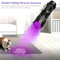 Senter UV LED Mini lampu hitam portabel 395nm, senter ultra-violet, detektor kalajengking urin hewan peliharaan, baterai AA paduan aluminium