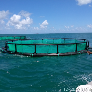 Cage de filet d'aquaculture flottante pour l'aquaculture en mer - Product Image 1