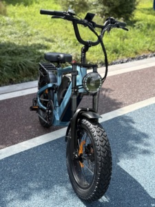 Largo alcance 60V/72V 35AH Baterías duales <span class=keywords><strong>Bicicleta</strong></span> de tierra eléctrica Off-Road Ebike Amortiguador - Product Image 3