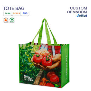 Bolsa de Compras Reutilizable de Polipropileno Laminado Tejido con Logotipo Personalizado - Product Image 1