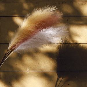 Bouquet d'herbe de pampa moelleux élégant en plastique <span class=keywords><strong>fausse</strong></span> herbe pour la décoration de la maison et de l'événement - Product Image 5