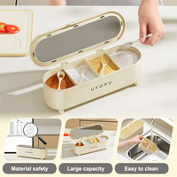UFORU Étagère à Épices Moderne en Plastique, Rangement Tiroir Gain de Place pour Épices, Boîte de Rangement d'Assaisonnement de Cuisine