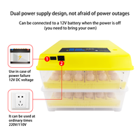 Incubateur solaire automatique pour œufs, incubateur à œufs de poulet, couveuse à œufs de poulet, alimentation double 220V/110V/12V, Chine