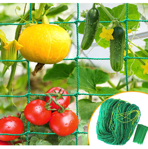 Robuste 25X25CM 30X30CM maille vert HDPE noeud support de jardin treillis plante filet pour concombre vigne Fruits et légumes Tomat - Product Image 2