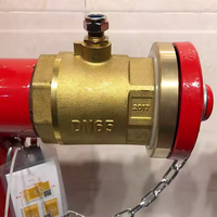 Bouche d'incendie en mousse au sol extérieure de qualité supérieure Type de pilier DN100/150 pour système d'extinction d'incendie