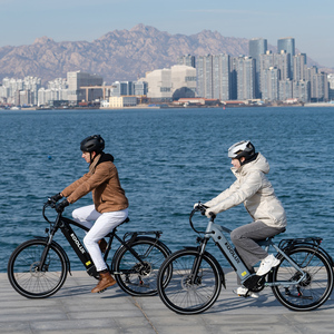 KOOLUX Vélo Électrique Urbain 250W 26 Pouces 7 Vitesses Cadre en Aluminium Batterie Lithium Amovible 15AH 25km/h Longue Portée Stock UE - Product Image 2