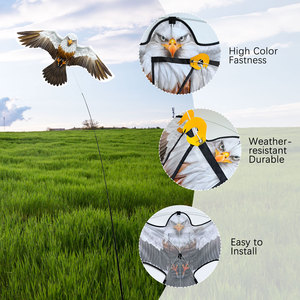 Cerf-volant Répulsif Réaliste en Forme de Faucon Prédateur, Activé par le Vent, pour la Lutte Antiparasitaire des Vergers et des Fermes – Vente Directe Usine - Product Image 5