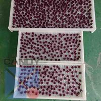 Ligne de dépôt automatique de bonbons à la gelée haute capacité Machine à bonbons mous