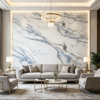 Panneau PVC brillant effet marbre SPC, design floral moderne, installation facile, pour salles de bain, salons et usage commercial
