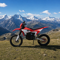 Moto électrique tout-terrain Arctic Leopard Cheetah E-XE 880 37kW 90V 75Ah 125km/h Enduro