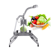 AY-461 Uiensnijder Huishoudelijk Gebruik Fruit & Groente Aardappelsnijder Snijgereedschap Accessoire Snijmachine