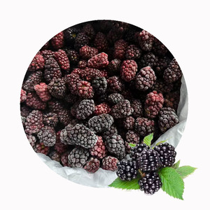 Mûres surgelées XMSD, best-seller |   Fruits surgelés de qualité supérieure pour les fabricants de boissons, les marques de smoothies et les marchés d'exportation - Product Image 5