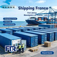 Agente de envío Francia Carga marítima Niza Puerto de Nantes Saint-Nazaire Logística Flete Agente de envío aéreo Flete