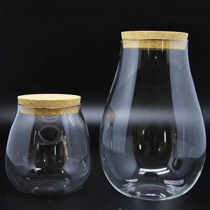 Vendita calda copertura della cupola di vetro per fiore piante succulente paesaggio vaso terrario contenitore vaso con sughero - Product Image 3