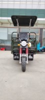 Tricycle cargo motorisé 200cc vert militaire avec auvent, véhicule de transport à trois roues pour l'Asie centrale