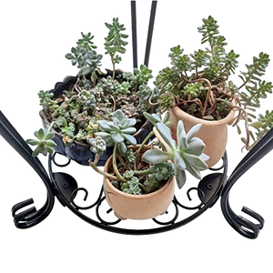 Vente chaude Design classique galvanisé métal plante support intérieur/extérieur coin présentoir <span class=keywords><strong>pour</strong></span> bonsaï planteur jardin Pots maison - Product Image 4