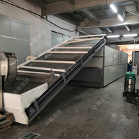 Nieuwe fabrieksdirecte verkoop DW gaasbanddroger met Ti-materiaalmotor voor het drogen van groenten, fruit en gras met automatische bediening