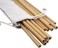 VIETNAM - Reusable Bamboo Straws with Customized Logo