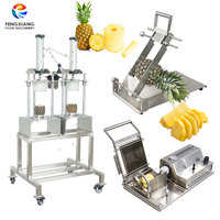 FENGXIANG Ananasverwerkingsmachineset, kostenbesparende machines voor het schillen, ontpitten en snijden van ananas voor de Maleisische fruitindustrie