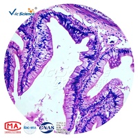 Animal Histology Prepared Slides 80pcs Animal Histology Slides Histology Microscope Slides