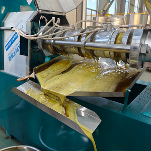 Professionelle Heißölpresse für Erdnüsse & Sojabohnen, 50-80kg/h, Marke BOKE, Geeignet für den Kenia-Markt - Product Image 6