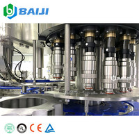 CE-gecertificeerde automatische 10000BPH machine voor het warmvullen van geconcentreerd fruit sap, productielijn, 2 jaar garantie