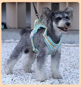 Arnés ajustable <span class=keywords><strong>para</strong></span> perro, correa <span class=keywords><strong>para</strong></span> el pecho, bonito y colorido, transpirable, de nailon, conjunto de correa <span class=keywords><strong>para</strong></span> mascotas, Anti Escape, perro con asa, galgo - Product Image 6