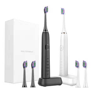 Toothbrush Toothbrush Toothbrush High Quality Electric Sonic Toothbrush Rechargeable Toothbrush China Shenzhen Smart Electric Toothbrush