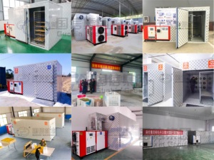 Deshidratador de Frutas y Verduras de Alta Eficiencia y Gran Capacidad, Máquina de Secado por Aire Caliente a Baja Temperatura para Uso Agrícola - Product Image 5