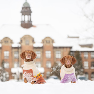 Maglione da salotto - Chili - Product Image 6