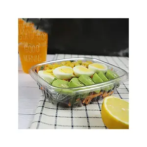 Disposable Plastic Fast Food Packaging Takeout PET Clear Clamshell Salad Bowl Box