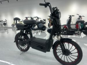 Bicicleta Eléctrica de Carretera para Adultos, Nuevo Diseño, Neumáticos Grandes, Silenciosa, 3 Velocidades, Motor de Acero sin Escobillas, Batería de Litio - Product Image 2