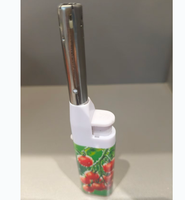 Allumeur électronique à flamme nue court de vente chaude adapté à la cuisine et à l'extérieur facile à transporter allumage sûr