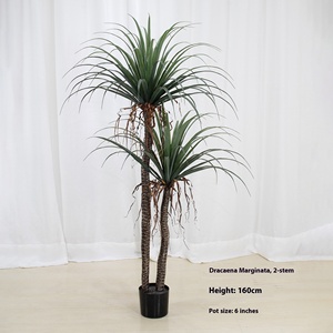 <span class=keywords><strong>Árbol</strong></span> <span class=keywords><strong>de</strong></span> Plátano Artificial <span class=keywords><strong>de</strong></span> Alta Calidad, Jade Horizon, <span class=keywords><strong>Dracaena</strong></span> <span class=keywords><strong>Draco</strong></span>, Plástico/PE/PVC, Ecológico, Duradero, Resistente al Agua - Product Image 6