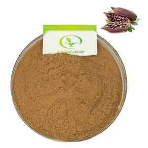 HALAL high quality best price natural cocoa powder cocoa bean powder cocoa extract