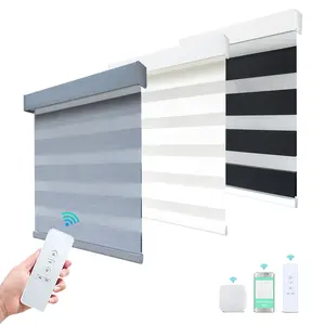 Modern Blackout Smart WiFi Google APP Control Double Motorized Zebra Blinds shade For Indoor Window made in China