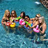 Sous-verres gonflables en PVC pour animaux aquatiques, porte-gobelets flottants gonflables, vente en gros
