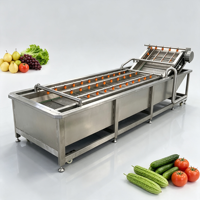 Automatische 304 roestvrijstalen luchtbel fruit- en groentewasmachine voor het reinigen van knoflook, gember en complexe producten